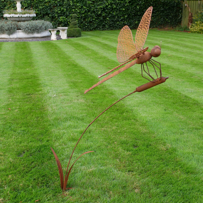 Dragonfly Nook dragonfly-nook